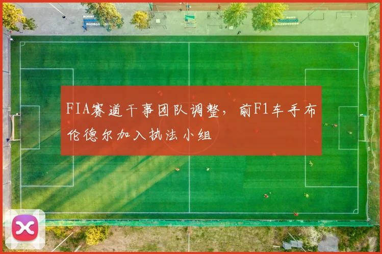 FIA赛道干事团队调整，前F1车手布伦德尔加入执法小组